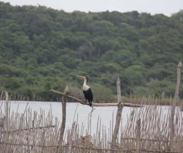 Bird Watching Hike 5